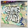 About Blame It On My Youth Song