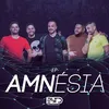 About Amnésia Song