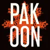 About Pakoon Song