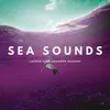 Sea Sounds