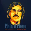 About Plata O Plomo Song