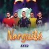 About Narguile Song