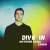 About Dive In Song