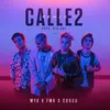 About Calle 2-Remix Song