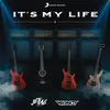 About It's My Life Song