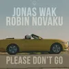 About Please Don't Go Song