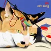 Cat Song (DJ Conan Mix)