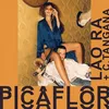 About Picaflor Song