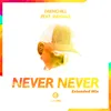 About Never Never (Extended Mix) Song