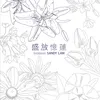 Feng Liao Album Version