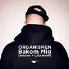 About Bakom mig Song