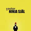 About Ninja själ Song