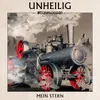 About Mein Stern-MTV Unplugged Song