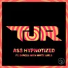 About Ass Hypnotized Club Mix Song