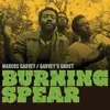 Marcus Garvey-Album Version