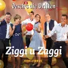 About Ziggi u Zaggi Song