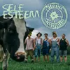 About Self Esteem Song