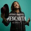 About Mencanta Song