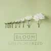 Bloom-Radio Version