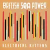 About Electrical Kittens Song