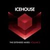 Dedicated To Glam-12 Inch Mix / Icehouse / 808 State Showdown