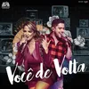 About Você De Volta-Ao Vivo Song