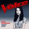 About Skinny Love-The Voice Australia 2017 Performance Song