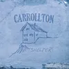 About Shelter Song