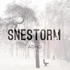 Snestorm