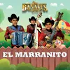 About El Marranito Song