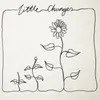 About Little Changes Song