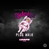 About Plug Walk Song