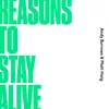 About Reasons To Stay Alive Song