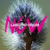 Laboratorium