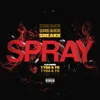 About Spray Song