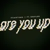 About Are You Up Song