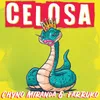 About Celosa Song