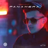Panamera-Instrumental
