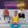 About Cariño Mío Song
