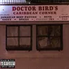 About DR. BIRD'S Song