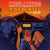 About Road Kill Song