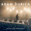 Mandolína-Acoustic / Live