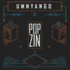 About Umnyango Song