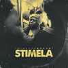 About Stimela Song