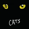 Prologue: Jellicle Songs For Jellicle Cats