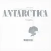 Antarctica Echoes