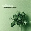 About Not Nineteen Forever-Album Version Song
