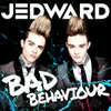 About Bad Behaviour Song