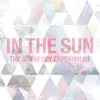 About In The Sun Song