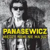 About Między Nami Nie Ma Już Song